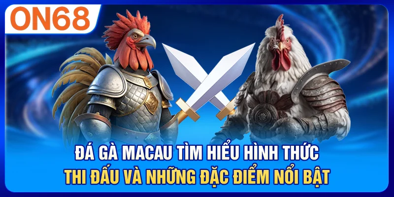 Đá Gà Macau – Tìm Hiểu Hình Thức Thi Đấu Và Những Đặc Điểm Nổi Bật
