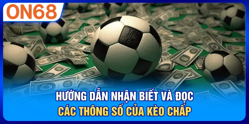 Hướng dẫn nhận biết và đọc các thông số của kèo chấp