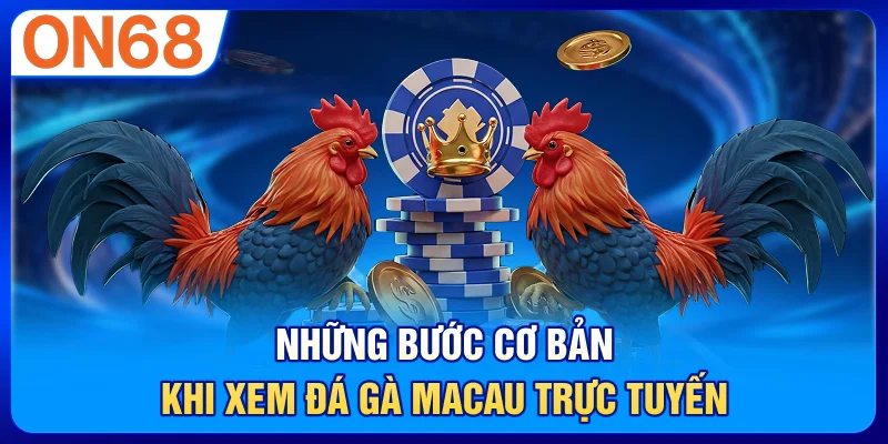 Những bước cơ bản khi xem đá gà Macau trực tuyến